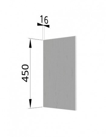 Панель торцевая (для шкафа горизонтального высокого) ВПГ Ройс (Графит софт) в Вагайцево - vagajcevo.mebel54.com | фото