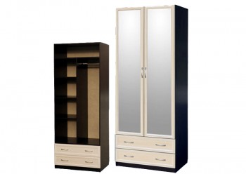 Шкаф для платья и белья 2-х дверный с профилем МДФ с 2 зеркалами Венге/Дуб выбеленный в Вагайцево - vagajcevo.mebel54.com | фото